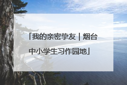 我的亲密挚友｜烟台中小学生习作园地